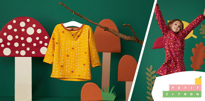 Celebrate Autumn Collection